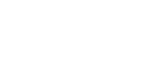 ASV Logo